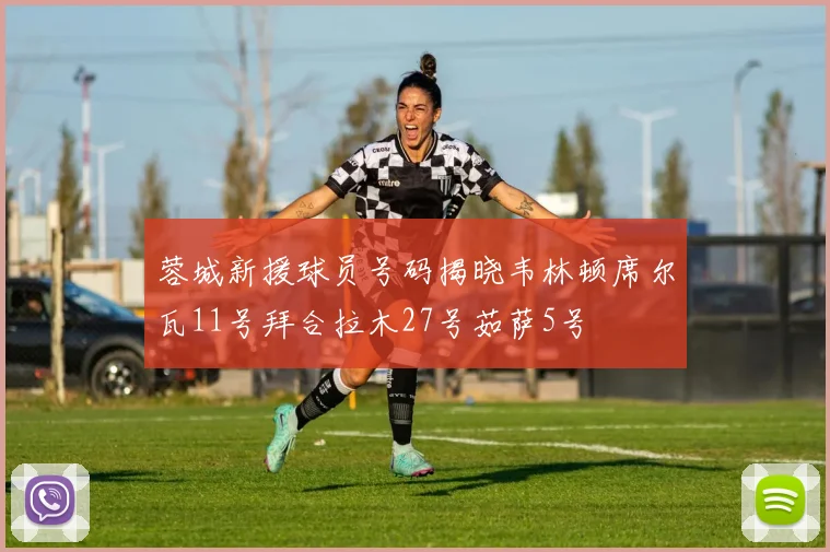 蓉城新援球员号码揭晓韦林顿席尔瓦11号拜合拉木27号茹萨5号