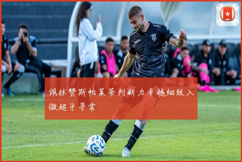 佩林赞斯帕莱蒂判断力卓越细致入微超乎寻常