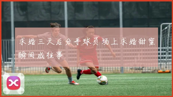 求婚三天后分手球员场上求婚甜蜜瞬间成往事