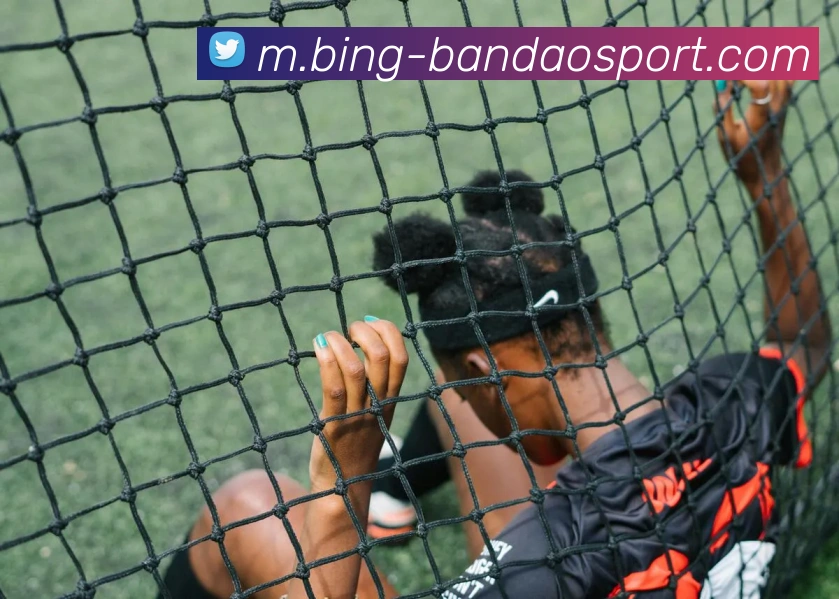 App Interface Preview