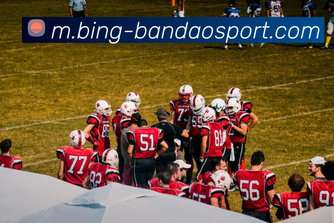 半岛体育APP 封面图